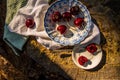 Ripe red cherries in antique blue and white bowl with silver spoon Royalty Free Stock Photo