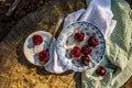 Ripe red cherries in antique blue and white bowl with silver spoon Royalty Free Stock Photo