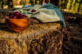 Ripe red cherries in vintage carved wood cup on tree stump in forest Royalty Free Stock Photo