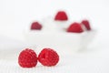 Still life with pair of raspberry on white linen Royalty Free Stock Photo