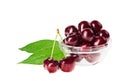 Still life with pair of red wet cherry fruit Royalty Free Stock Photo