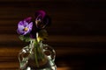 Still life of pansies in a small bottle