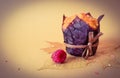 Still life with pastries.  Muffin in brown baking paper with raspberries on autumn leaves with pink topping on a plain background Royalty Free Stock Photo