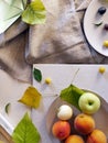 Still life of peaches, apples, leaves on a light background, top view Royalty Free Stock Photo