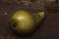 Still life pear- rusty metal background Royalty Free Stock Photo