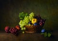 Still life with pears, grapes and plums Royalty Free Stock Photo