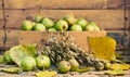 Still life from pears, oats grain, heads and fall leaves Royalty Free Stock Photo