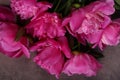 Still life peonies flowers Royalty Free Stock Photo