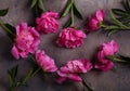 Still life peonies flowers Royalty Free Stock Photo