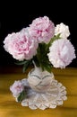 Still-life with peony Royalty Free Stock Photo