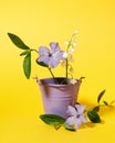 Still life with periwinkle and lily of the valley in a purple bucket