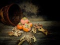 Still life persimmom Royalty Free Stock Photo