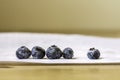 Row of blueberries on a white table cloth Royalty Free Stock Photo