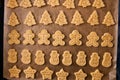 Christmas ginger cookies making still life Royalty Free Stock Photo