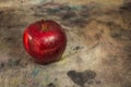 Still life photo of red apple Royalty Free Stock Photo