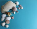 Still life photo of seashells on turquoise background