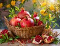 Basket with pomegranates