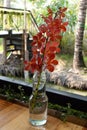 Still life photography of red orchids in clear glass bottles vases, flowers floral arrangement on table