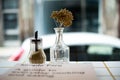 Still life photography shot of dry flowers in a glass vase with a blurred background Royalty Free Stock Photo