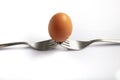 Still life photography. Two forks together create a case for a white egg that balances on them. Egg balanced on forks with white Royalty Free Stock Photo