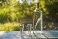 Still life picture of two vintage shot glasses and bottle of Polish vodka.