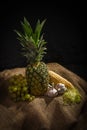 Still Life - Pineapple, Corn, Garlic and Grapes Royalty Free Stock Photo