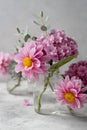 Still life pink flowers scene. Pink hydrangea flowers and dahlias in glass vase on neutral background soft, selective Royalty Free Stock Photo