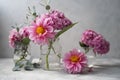 Still life pink flowers scene. Pink hydrangea flowers and dahlias in glass vase on neutral background soft, selective Royalty Free Stock Photo