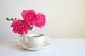 Still Life With Pink Roses Royalty Free Stock Photo