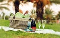Still life with Piper Heidsieck champagne