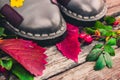 Still life of plants in autumn-oak, rose hips, grapes Royalty Free Stock Photo