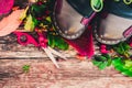 Still life of plants in autumn-oak, rose hips, grapes Royalty Free Stock Photo