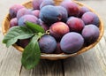 Still life of plums in the garden