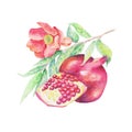 Still life with pomegranate