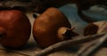 Still Life with Pomegranates and Driftwood. Royalty Free Stock Photo