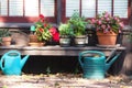 Still life of pots, flowers, and water containers.