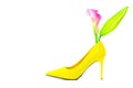 Ladies stiletto suede shoe decorated with pink calla lily and large asian lily bud on white background Royalty Free Stock Photo