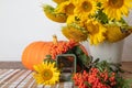 Still life with pumpkin, a bouquet of sunflowers and a white vase, candlesticks and red rowan, hello autumn concept Royalty Free Stock Photo