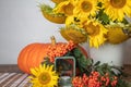 Still life with pumpkin, a bouquet of sunflowers and a white vase, candlesticks and red rowan, hello autumn concept Royalty Free Stock Photo