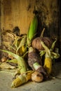 Still life with pumpkin, corn, taro, yam. Royalty Free Stock Photo