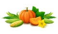 Still life with pumpkin and corn on white background. Fresh harvest for Thanksgiving day. Royalty Free Stock Photo