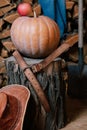 Pumpkin and leather belt and lie on stump. Bottom hat