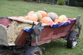 Still life of pumpkins on cart Royalty Free Stock Photo