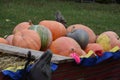 Still life of pumpkins on cart Royalty Free Stock Photo