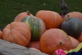 Still life of pumpkins on cart Royalty Free Stock Photo