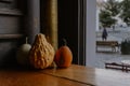 Still life with pumpkins. Small pumpkins on the window. Thanksgiving day background. Autumn harvest. Halloween gourd decoration. Royalty Free Stock Photo