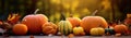 Still life of pumpkins of various shapes in nature as halloween background