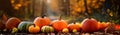 Still life of pumpkins of various shapes in nature as halloween background
