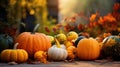 Still life of pumpkins of various shapes in nature as halloween background