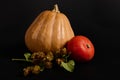 Still life pumpkins of various sizes and hop cones on black background. Craft from vegetables - a witch on a broomstick